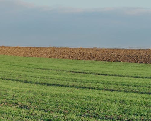 quelles sont les dépenses et charges supplémentaires à prévoir pour une personne morale en comparaison d\