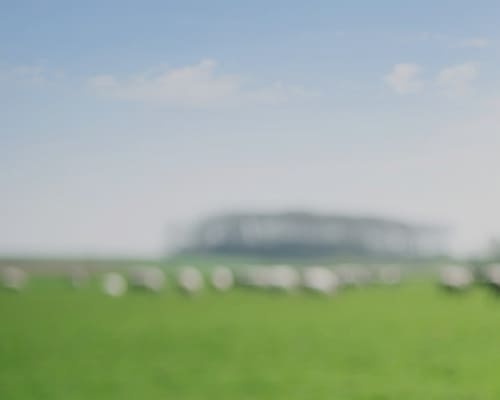 quelles sont les cotisations minimales pour les Travailleurs Non Salariés TNS Professions libérales ?